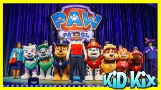 PAW PATROL LIVE Race to the Rescue  Favorite Song & Dance for kids