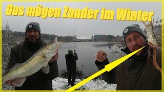 Zander und Hecht-angeln mit Köderfisch im Winter bei Schnee / Deadbaiting im Winter