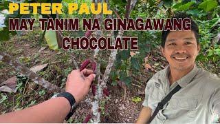 PETER PAUL, GINAGAWANG CHOCOLATE ANG MGA ITINANIM