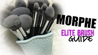 *NEW*  Morphe Elite Brushes Review!