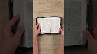 NLT Compact Giant Print Zipper Bible, Filament-Enabled Edition | leatherlike, magnolia sage