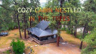 Cozy Cabin in the Woods With No HOA