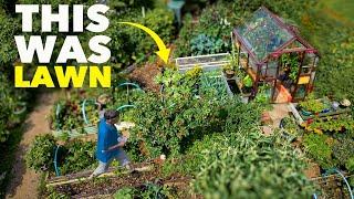 Bare Lawn to Sustainable Garden Eden: How he Did it