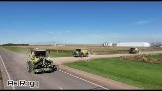 Rogers Custom Contractors Maize Harvest 2024