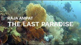 Raja Ampat - The Last Paradise | Episode 1 Sorido Bay Resort & Cape Kri | Indonesia | 4K (2021)