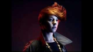 La Roux - In For The Kill (Skream Remix HQ)