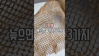 쿠팡 늦으면 없다는 3가지 #살림남