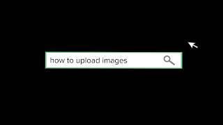 Wildlife Insights Tutorials - Upload Photos