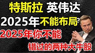 【特斯拉英伟达2025】还能持股吗，2025年的牛股涨什么样，已泄露赶紧去看你的股票属于这两类吗？#特斯拉 #特斯拉股票 #美股 #股哥说美股 #tesla #马斯克 #美股复盘