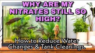 Why Are My Nitrates Still So High in My Planted Aquarium? How to Fix & Do WAY Less Water Changes.