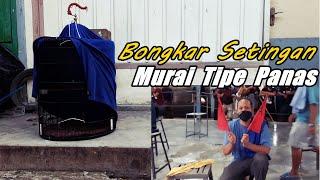 Bongkar setingan murai tipe panas fighter tinggi