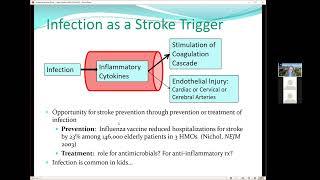 Infection as a Trigger for Arterial Ischemic Stroke: Lessons from Childhood Stroke Research