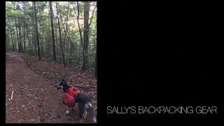 Sally's Backpacking Dog Gear    4K