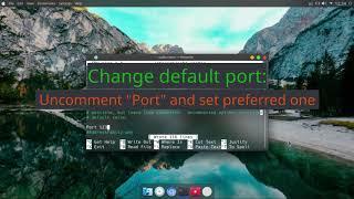 Setup ssh server on Arch Linux - easy & fast