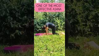Yoga for Backpain #backpain #spineflexibility #yoga #yogaforbeginners #yogi #yogapractice #yogalife