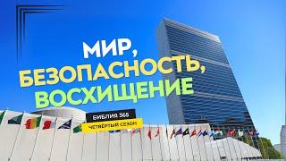 #156 Мир, безопасность, восхищение - Алексей Осокин - Библия 365 (4 сезон)