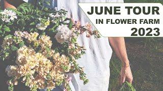 June Tour in Flower Farm 2023