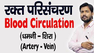 Blood Circulation | रुधिर परिसंचरण | Artery | धमनी | Veins | शिरा | in Hindi