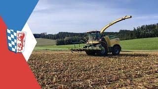 Maishäckseln 2020 auf´n Zinklhof | Krone Big X 780 | Deutz Agrotron M625 | Fendt 412