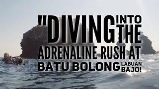 Batu Bolong, Labuan Bajo! An awe-inspiring but challenging dive spot that demands respect !!