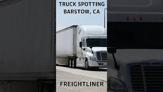 TRUCK SPOTTING #01466 / FREIGHTLINER #automobile #semitrailer #trucking