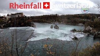 REN ŞELALESİ-İSVİÇRE I Rheinfall-Switzerland I Rheinfall Schweiz I Chutes du Rhin-Suisse #rheinfall