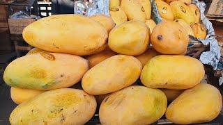 Pakistani best export Quality mango | Mango wholesale market Islamabad | daily fruit mandi update |