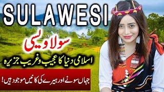 Travel to Sulawesi | Full History Documentary about Sulawesi  in Urdu | سولاویسی کی سیر