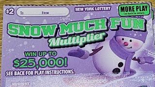 10 Tickets Snow Much Fun Multiplier NYC NY Lottery Scratch Off Tickets