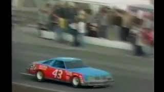 The Infamous Fist Fight - 1979 Daytona 500