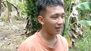 namayot si bords / #bisaya vines / @JovenPortugaliza