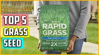 Top 5 Best Grass Seed of 2023