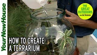 Build Your Own Terrarium