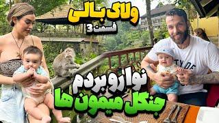 ولاگ بالی قسمت 3 - جنگل میمونها ، هتل جنگلی !