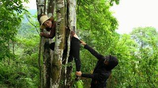 Harvesting firewood in the dangerous forest, discovering bad guys lurking to attack? \ LÝ SÙNG