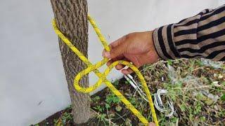 Five classic knots commonly used outdoors