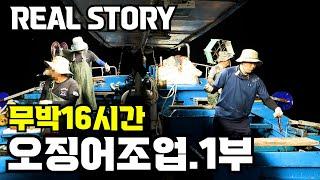 유튜버최초!!16시간무박2일.속초오징어조업배에서 직접 밤새 선원들과 같이 조업하다.1부#오징어배#오징어#속초맛집