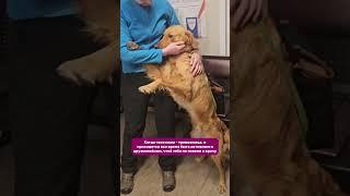 Все правильно делает мама: лучше, как говорится, перебдеть…