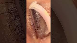 Impressive lash lift technique | Lash Flash