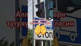 Абдуллох домла  Гузал маруза