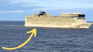 Man Overboard on Cruise Ship, Passenger Arrested for $100,000