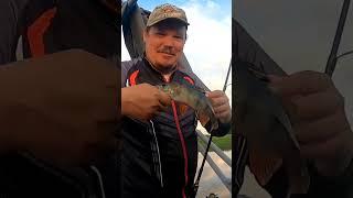 ОКУНЬ на спиннинг , Капитан Григорий ,PERCH on spinning , Captain Grigori #fishing #рыбалка #окунь