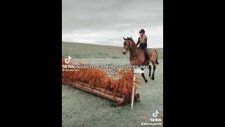 Horse riding is one of the most dangerous sports