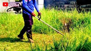 mesin rumput Tagawa di halaman rumah pelanggan