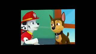 Paw patrol Chase and Marshall best friendship moments edit