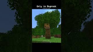 Only in Bedrock Edition (Bee World)