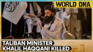 Afghan Taliban Minister Khalil Rahman Haqqani Killed In Kabul Blast | WION Pulse