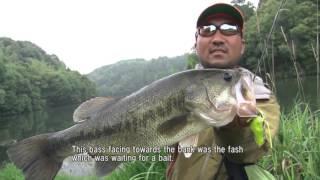 Let's capture the bass with Frog in the early summer!