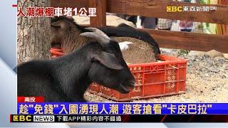 動物園區假日免費人潮塞爆 停車回堵一公里 @newsebc