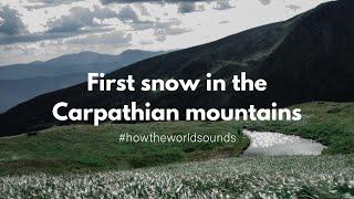 Sound of the first snow in the Carpathian mountains - Mariia Yaremak